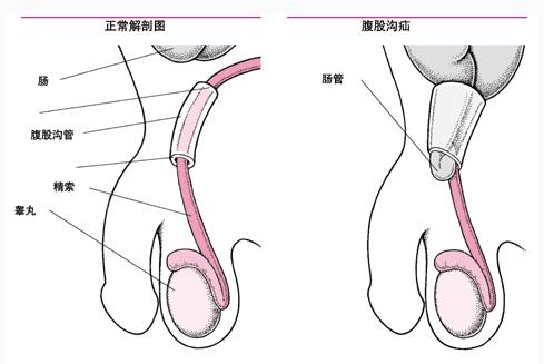 QQ截图20170411091904.jpg